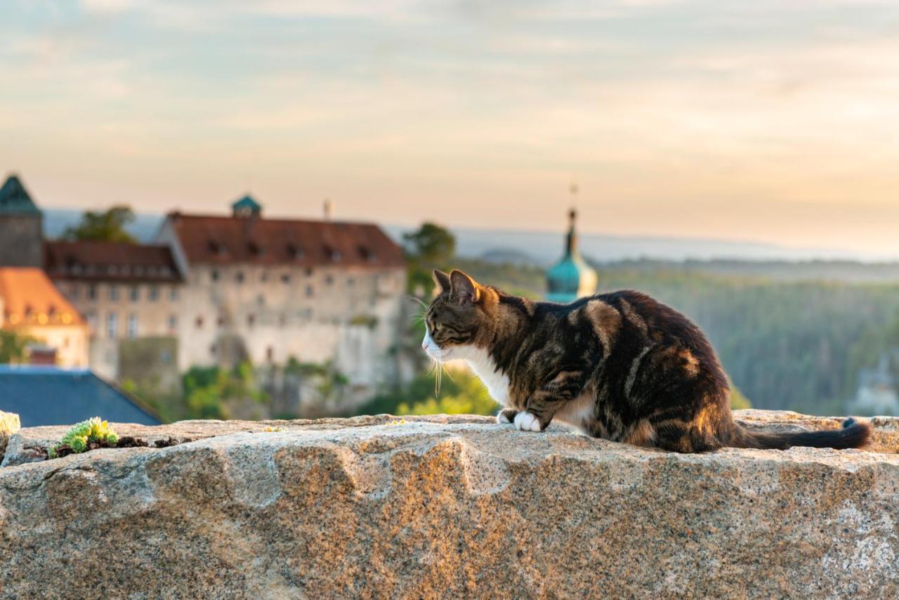 Hotel Zur Aussicht Hohnstein Exteriör bild